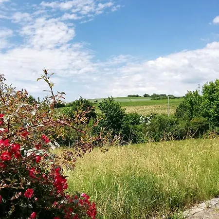 Ferienhaus Burgund Tauberbischofsheim